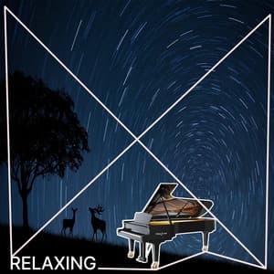Collection Of Gentle And Sentimental Piano Music 14 - Relaxing Mode