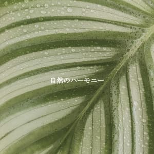 自然のハーモニー - Night Time Jazz Moods