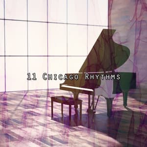 11 Chicago Rhythms - Bossa Nova