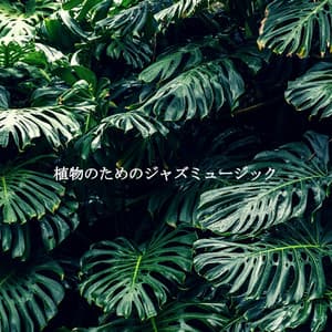 植物のためのジャズミュージック - Music for Focus