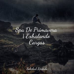 Spa De Primavera | Exhalando Cargas - Relajación Meditar Academie