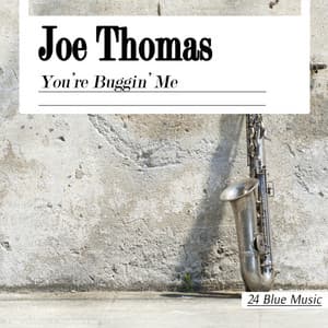 You're Buggin' Me - Joe Thomas