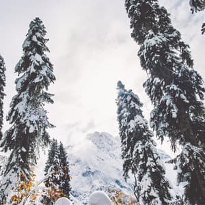 Winter Sleep - Uyku Müzik