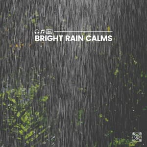 Bright Rain Calms - Rain for Deep Sleep