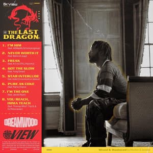 The Last Dragon - Dr. View