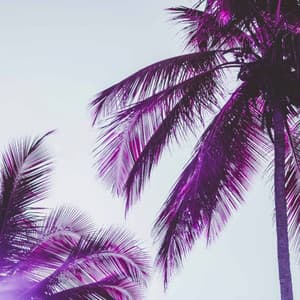 Music for llustrious Shapes - Bossa Guitar Trio - Classic Instrumental Jazz