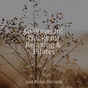 50 Powerful Tracks for Relaxing & Pilates - Chakra Balancing Sound Therapy