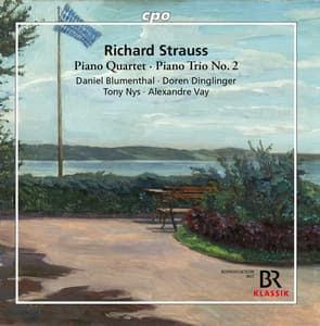 Strauss: Piano Quartet in C Major, Op. 13, TrV 137 & Piano Trio No. 2 in D Major, TrV 71 - Richard Strauss