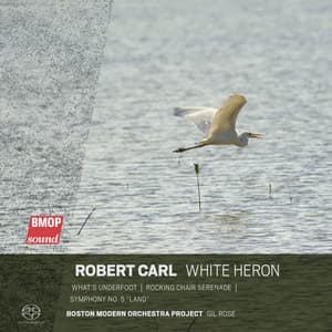 Robert Carl: White Heron - Robert Carl