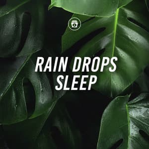 Rain Drops Sleep - Rain Recorders