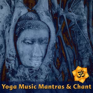 Yoga Music Mantras & Chants - The Yoga Mantra and Chant Music Project
