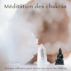 Méditation des chakras – Musique ambiance pour activer ou ouvrir les chakras, pensez à la couleur du chakra qu'on va ouvrir et pratiquer asana yoga - Méditation chakras