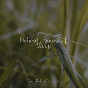 Delicate Sounds | Sleep - Yoga