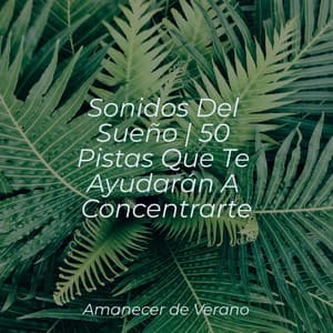 Sonidos Del Sueño | 50 Pistas Que Te Ayudarán A Concentrarte - Sonidos de la Naturaleza Relajacion