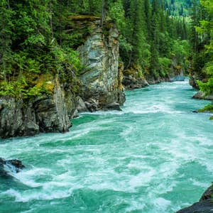 ASMR Baby Brown Noise - Baby Sleep Conservatory