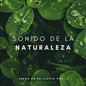 Sonido De La Naturaleza: Juega En La Lluvia Vol. 1 - Sonidos Naturales del Pajaro