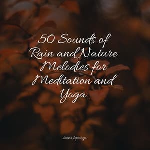 50 Sounds of Rain and Nature Melodies for Meditation and Yoga - Rain Sounds Factory STHLM