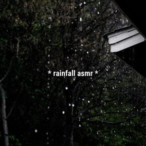 * rainfall asmr * - Sound Effects Library