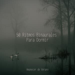 50 Ritmos Binaurales Para Dormir - Sonidos De Truenos y Lluvia