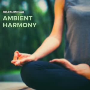 Ambient Harmony: Chill Beats for Zen Meditation - Ambient Meditation Club