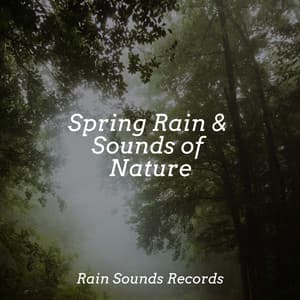 Spring Rain & Sounds of Nature - Smart Baby Lullaby