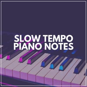 Slow Tempo Piano Notes - Piano Love Songs