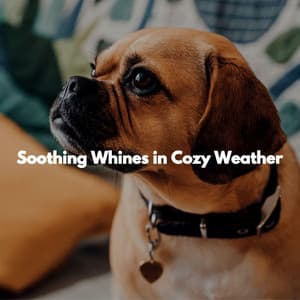 Soothing Whines in Cozy Weather - Jazz Playlist