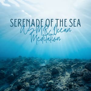 Serenade of the Sea: ASMR Ocean Meditation - Granular Soundscape