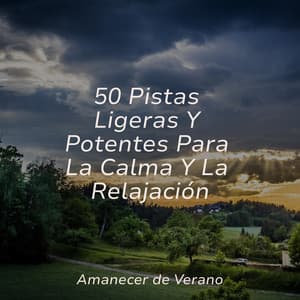 50 Pistas Ligeras Y Potentes Para La Calma Y La Relajación - Meditación Interna