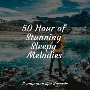 50 Hour of Stunning Sleepy Melodies - Relaxing Mindfulness Meditation Relaxation Maestro