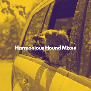 Harmonious Hound Mixes - Dog Separation Anxiety Music