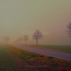 50 Best Sleep Tracks - Guided Meditation