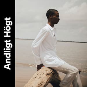 Andligt Högt - Avslappnande Meditation Akademi