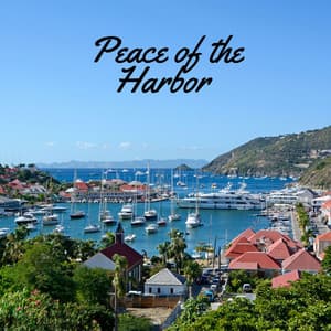 Peace of the Harbor - The Noise Project