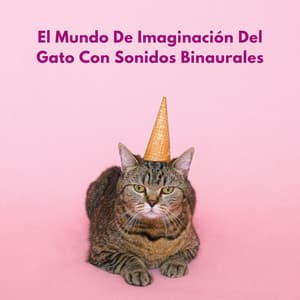 El Mundo De Imaginación Del Gato Con Sonidos Binaurales - Música para Relajar Gatos