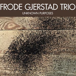 Unknown Purposes - Frode Gjerstad Trio