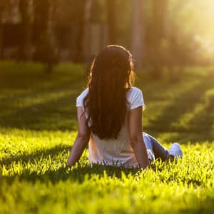 Birds' Calls: Owl and Wind Melodies for Peaceful Relaxation - Jaded Birds