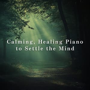 Calming, Healing Piano to Settle the Mind - Relaxing BGM Project