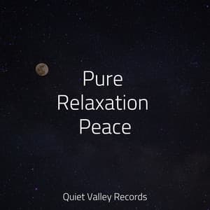 Pure Relaxation Peace - Rain Storm Sample Library