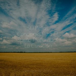 50 Bellas Canciones Para El Sueño Profundo Y La Curación - Lounge Music Café