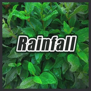 Rainfall - ASMR