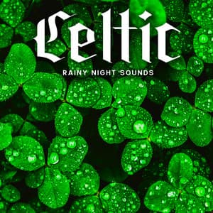 Celtic Rainy Night Sounds - Dean Forest