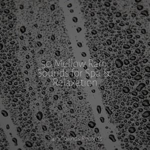 50 Mellow Rain Sounds for Spa & Relaxation - Meeresrauschen