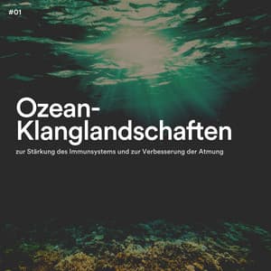 #01 Ozean-Klanglandschaften zur Stärkung des Immunsystems und zur Verbesserung der Atmung - Meeresgeräusche