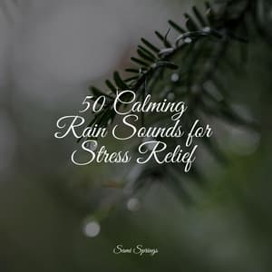 50 Calming Rain Sounds for Stress Relief - Nature's Symphony