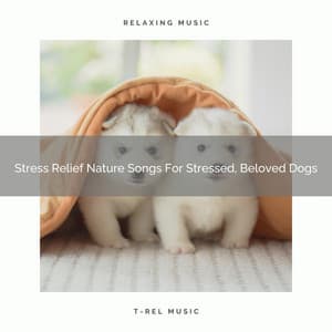 Stress Relief Nature Songs For Stressed, Beloved Dogs - Pets Relax