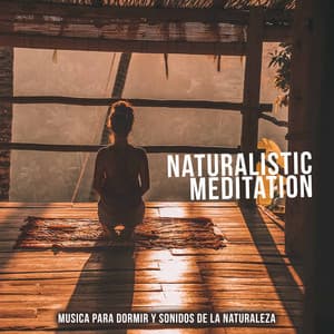 Naturalistic Meditation - Musica Para Dormir y Sonidos de la Naturaleza