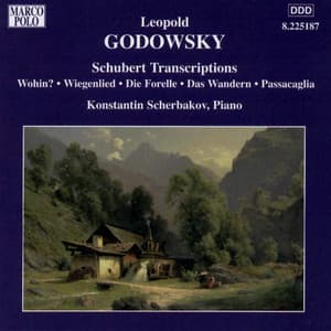 Godowsky, L.: Piano Music, Vol. 6 - Schubert Transcriptions - Leopold Godowsky