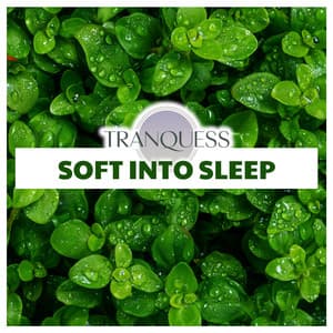 Soft Into Sleep - Tranquess