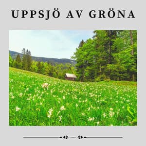 Uppsjö av Gröna - Naturljud